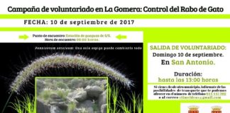 Continúa la ‘Campaña de Voluntariado’ en La Gomera sobre el control del rabo de este domingo