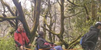 La asociación La Taparucha organiza un curso de iniciación y una salida de senderismo con joelette