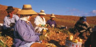 El PSOE La Gomera apoya a las mujeres del medio rural y su empoderamiento en su día internacional