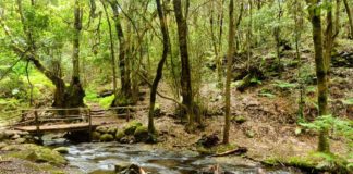 Transición Ecológica consigna más de medios millón de euros a 25 proyectos de las Reservas de la Biosfera