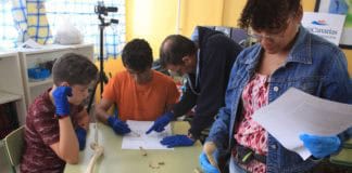 El proyecto educativo “Vívelo”, del Museo Arqueológico de La Gomera, propone este fin de semana talleres en Chipude, El Cercado y Las Hayas