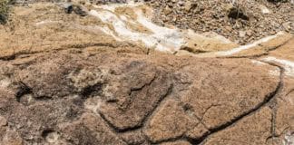 La Convocatoria de Ayudas a la conservación del Patrimonio Natural y Arqueológico CajaCanarias 2017, en marcha