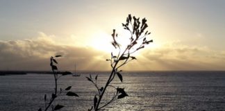 Cielos nubosos e intervalos nubosos en Canarias este domingo donde no se descartan las lluvias