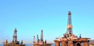 Las plataformas petrolíferas han introducido en Canarias dos corales tropicales invasores