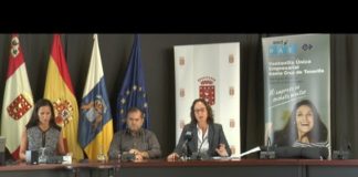 El PAE- Ventanilla Única Empresarial de la Cámara de Comercio en La Gomera facilita la creación de empresas en apenas 60 minutos