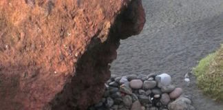 Sí se puede exige mayor rigor y continuidad en la limpieza de espacios naturales de Valle Gran Rey