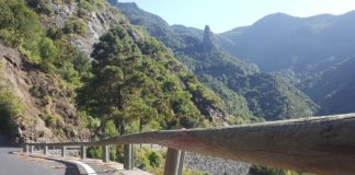 Obras Públicas inicia el proceso de licitación para sustituir las barreras de seguridad de la GM-1