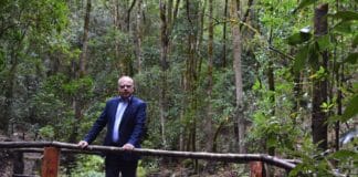 Curbelo: “Estamos preparados para asumir la gestión directa del Parque Nacional de Garajonay”