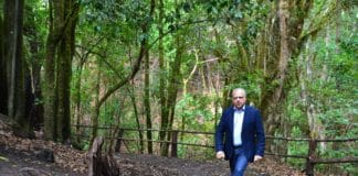 Curbelo confía en que la llegada del primer vuelo de validación será un “revulsivo para el turismo canario”