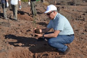 El Presidente del Cabildo Insular participa en las actividades