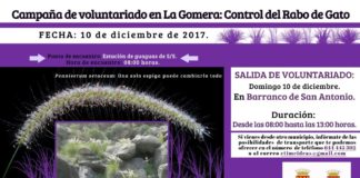 Última campaña de Voluntariado de 2017 para el control del Rabo de Gato este domingo