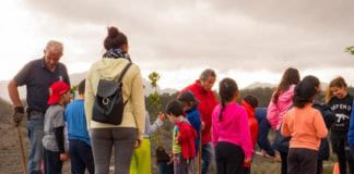 Agulo se suma al Día Insular del Árbol con una reforestación en Abrante