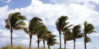 Calima y vientos fuertes en Canarias este jueves
