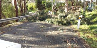 El ‘alto de Igualero’ en La Gomera alcanza rachas de viento de 103 km/h