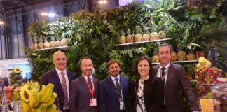 Marichal: “Hay que cambiar el discurso del número de turistas recibidos y hablar más de pernoctaciones y sostenibilidad”