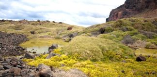 El Cabildo de La Gomera continúa con las actuaciones en varios espacios protegidos de Valle Gran Rey