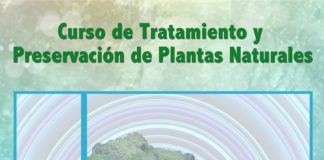 La Reserva de la Biosfera fomenta la conservación de la flora insular a través de un curso formativo en La Gomera