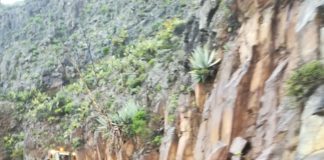 El operativo del Cabildo atiende a una veintena de incidencias en La Gomera