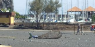 El PSOE de San Sebastián “suspende” la gestión municipal durante el Carnaval