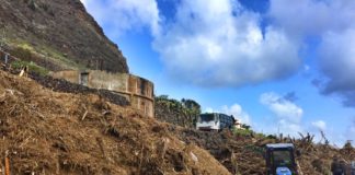 El Ayuntamiento de Hermigua pone a disposición de los vecinos material vegetal para cultivos y jardines