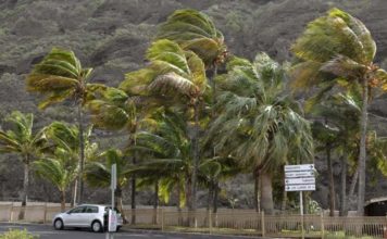 El viento continuará muy fuerte en Canarias este sábado aunque remite la calima