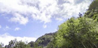 El Cabildo destina más de 70.000 euros a la renovación de la señalización de varias vías gomeras