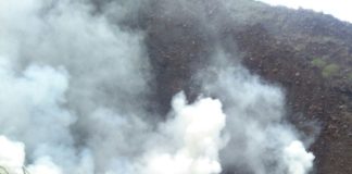 El Cabildo activa el grado 0 de alerta ante el riesgo de incendios forestales