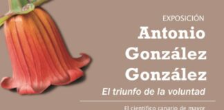 El Cabildo acoge a partir de este jueves la exposición “El Triunfo de La Voluntad”