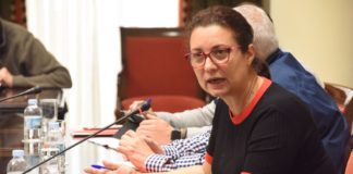 El PSOE pide la publicación del estudio sobre mangos y aguacates gomeros