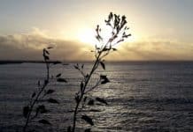 Cielos nubosos y lluvias débiles este jueves en Canarias