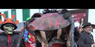 El coso y el entierro de la Sardina dan por concluido el ‘Carnaval del Sur’ en Playa de Santiago