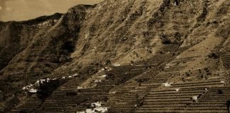 La expansión agrícola y los primeros embalses de Hermigua