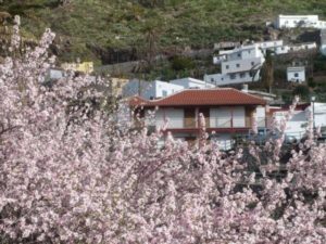 Hotel Rural de Imada