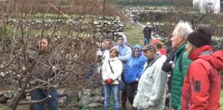 El Cabildo ofrece una decena de nuevos cursos para impulsar el sector primario en la Isla