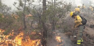 La Gomera, La Palma, Tenerife, El Hierro y Gran Canaria en Alerta por Riesgo de Incendios este lunes