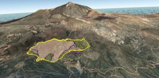 El incendio forestal del sur de Tenerife quema 200 hectáreas de pino y matorral en apenas 24 horas