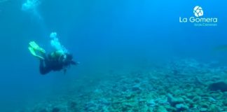 Una asociación de personalidades alemanas visita La Gomera para impulsar su promoción en Europa