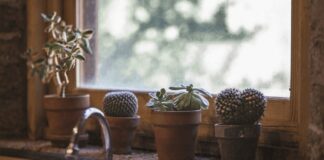 Las claves para contratar al fontanero adecuado