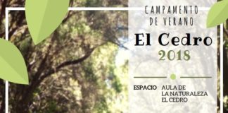 El Campamento de Verano de El Cedro abre el plazo de preinscripción