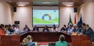 El Parlamento implica a la Fecam en su plan para una estrategia canaria de desarrollo sostenible