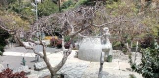 Una opinión tan valida como otra