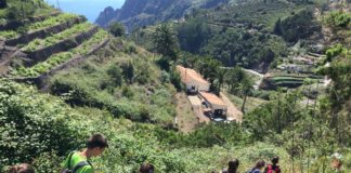 Cerca de 300 jóvenes gomeros comienzan a disfrutar del Campamento de El Cedro 2018