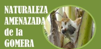 La conferencia ‘Naturaleza amenazada de La Gomera’ cierra este martes los actos del Día Mundial del Medioambiente