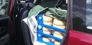 El Seprona intercepta un coche en La Gomera que transportaba alimentos a Tenerife sin las condiciones sanitarias