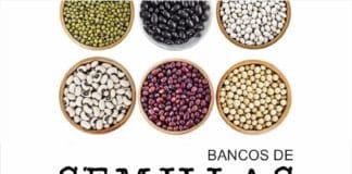 El Ayuntamiento organiza unas jornadas sobre biodiversidad agrícola en San Sebastián