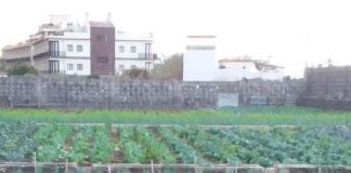 Sí se puede muestra su preocupación por la salinización creciente de algunos pozos de Valle Gran Rey