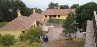 Una treintena de jóvenes canarios participan en una nueva edición del Campamento de Adultos de El Cedro