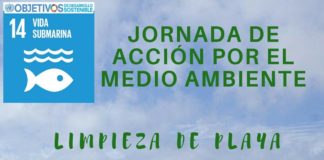 Jornada de acción por el medio ambiente en limpieza de playa en Valle Gran Rey