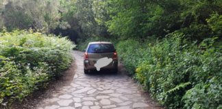 Control de acceso de vehículos en la zona de Las Mimbreras (Riachuelo de El Cedro)