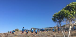 El Cabildo de La Gomera coopera en labores de conservación medioambiental